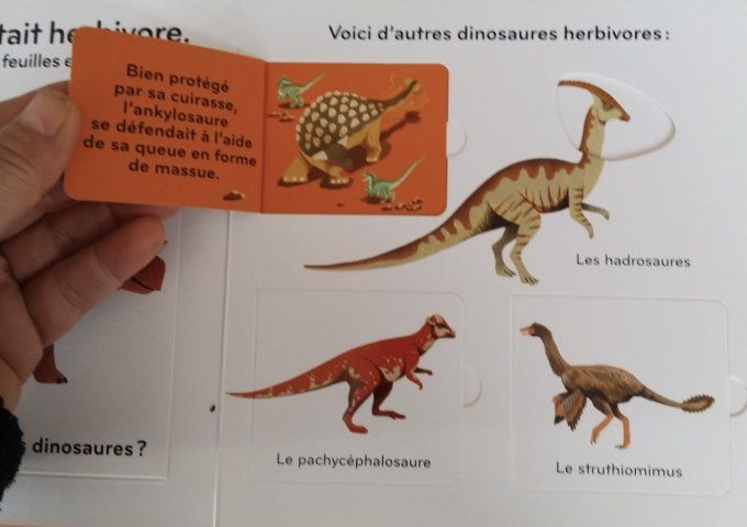 Les dinosaures mn imagier animé