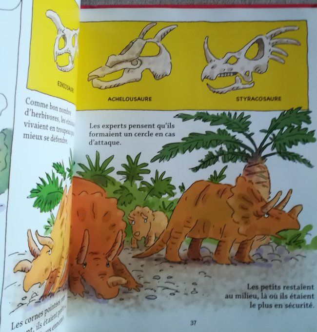 Les dinosaures, des surprise à tous les étages