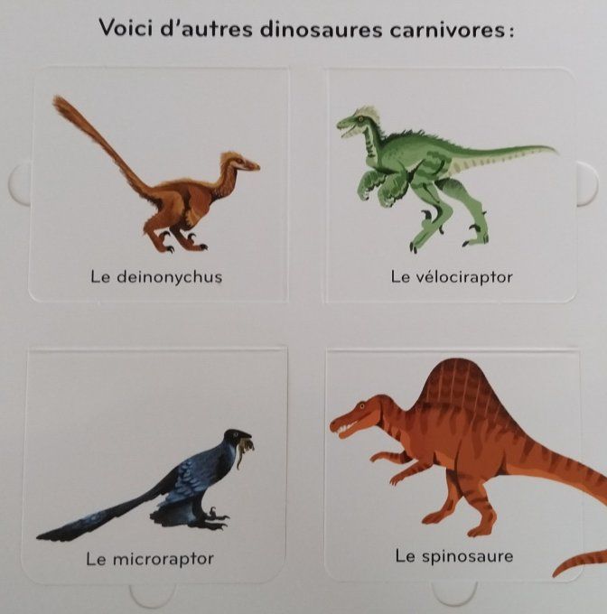 Les dinosaures mn imagier animé