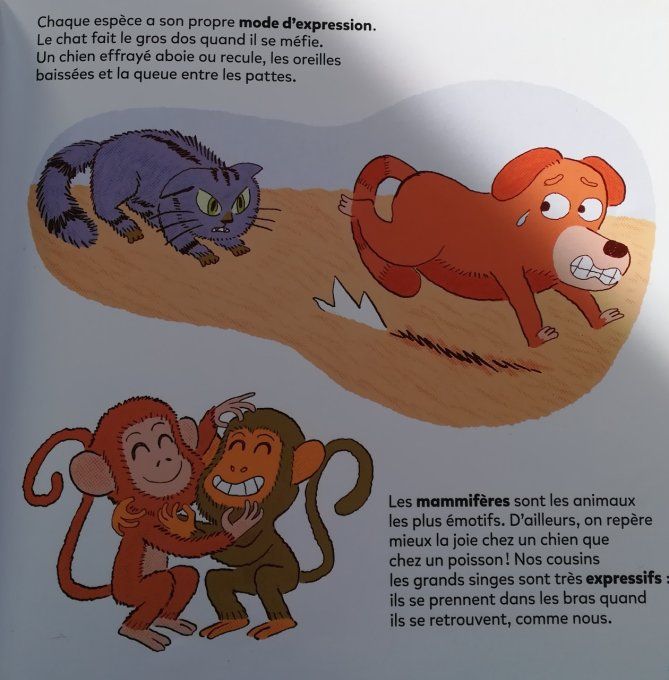 Mes p'tites questions, les émotions
