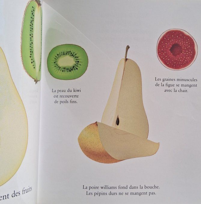 Cache-cache avec les fruits du jardin