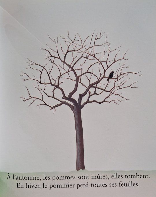 Cache-cache avec les fruits du jardin