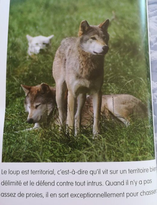 Les loups