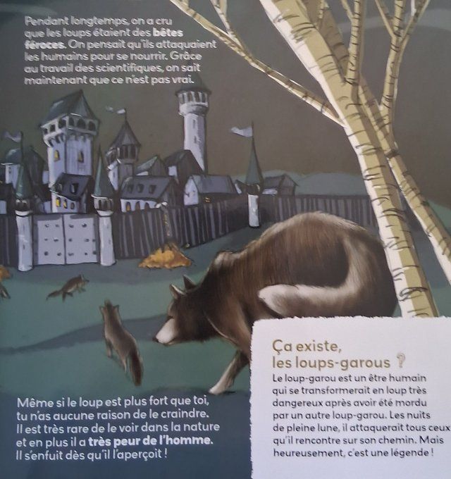 Mes p'tites questions les loups