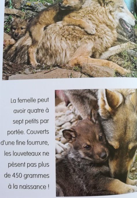 Les loups