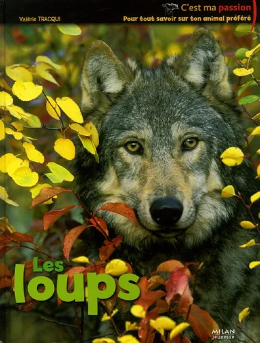 Les loups, c'est ma passion