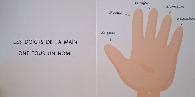 Les orteils n'ont pas de nom