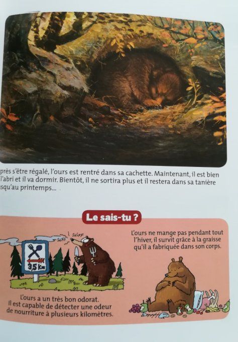 Les ours, mes docs Youpi