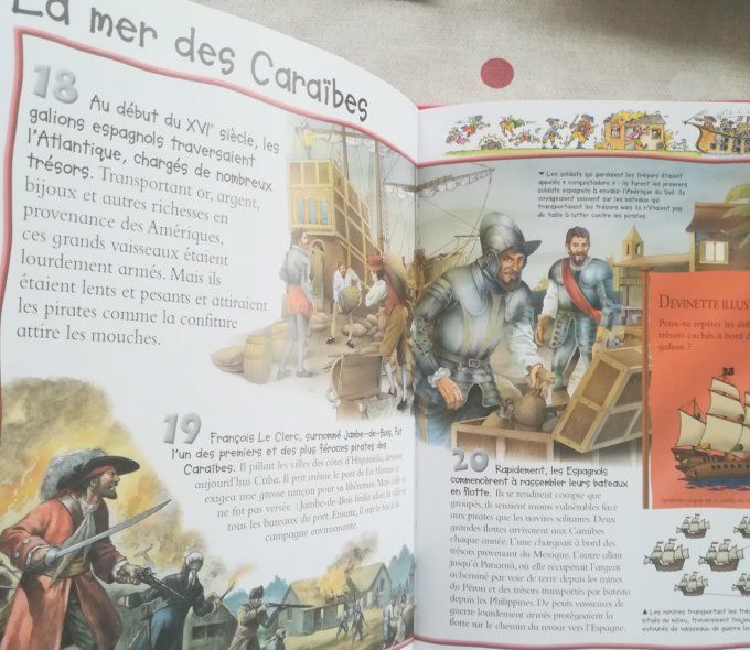 100 infos à connaître, les pirates