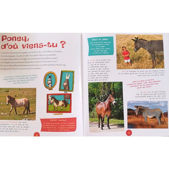 Les poneys