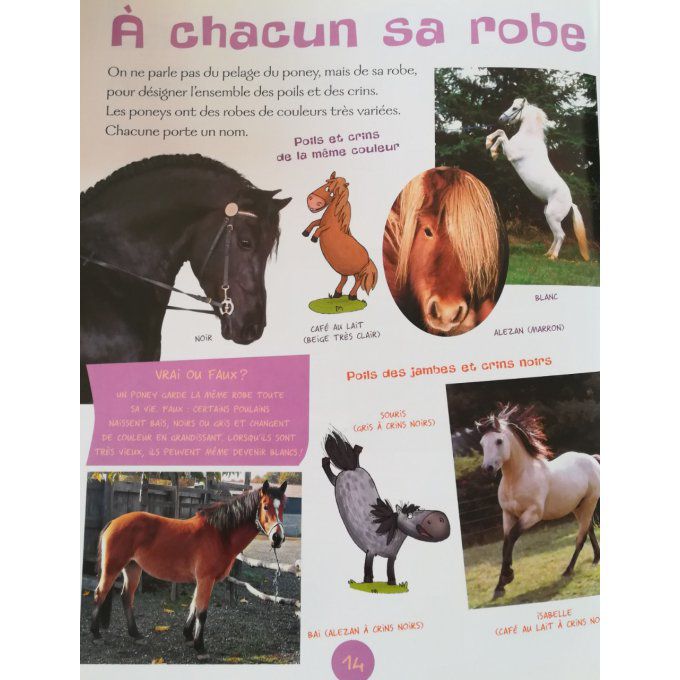 Les poneys