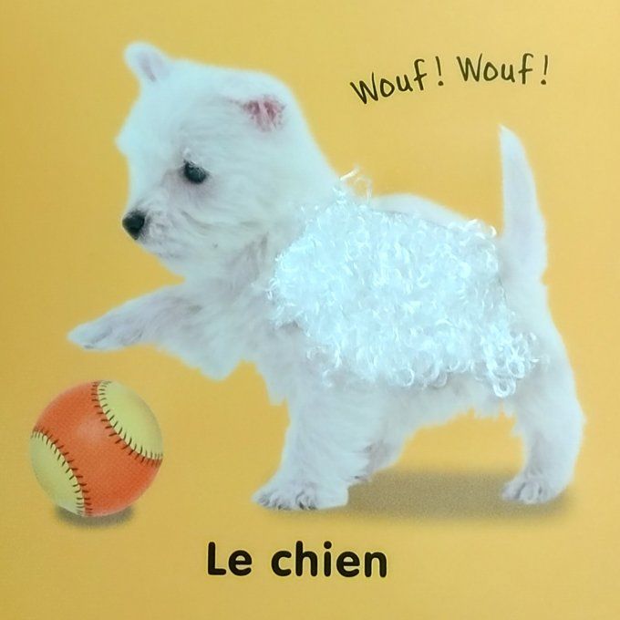 Les premiers mots à toucher