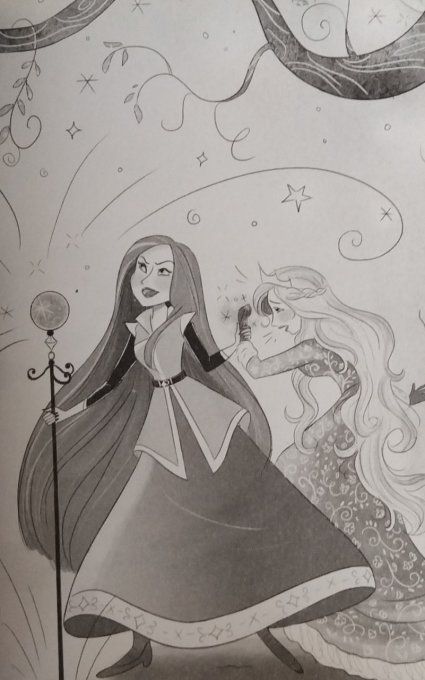 Les princesses de glace tome 1, le secret du faucon d'argent