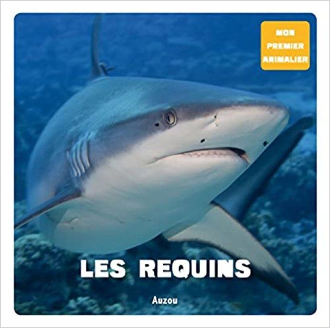 Les requins, mon premier animalier