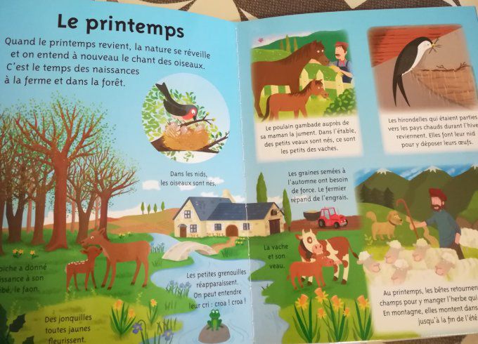 La petite imagerie, les saisons