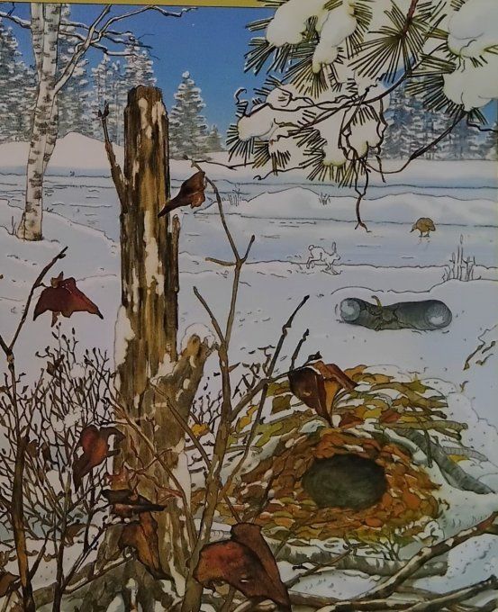 Un livre-rébus les saisons