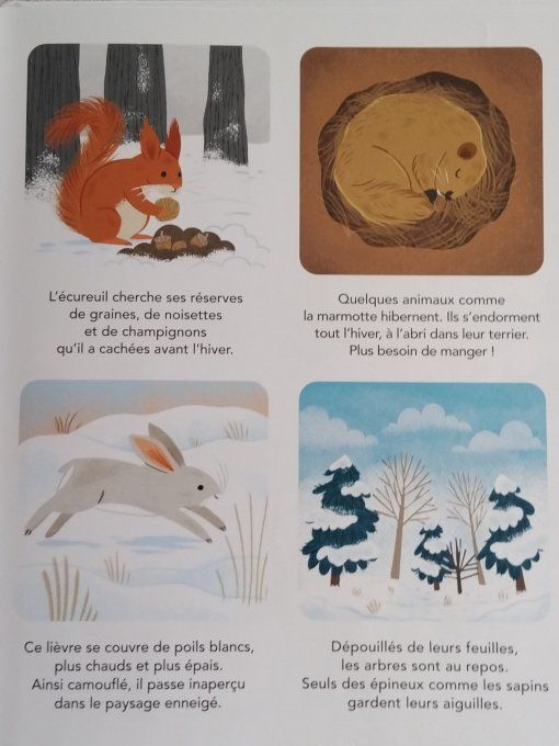 La petite imagerie les saisons