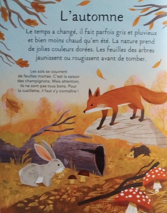 La petite imagerie les saisons