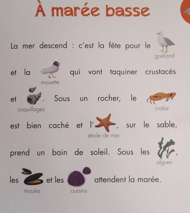 Lis avec moi les animaux de la mer