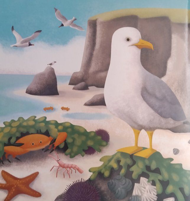 Lis avec moi les animaux de la mer