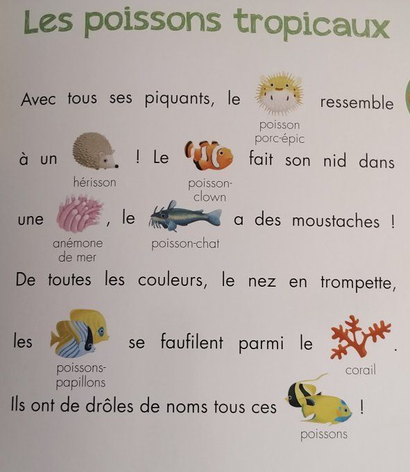 Lis avec moi les animaux de la mer