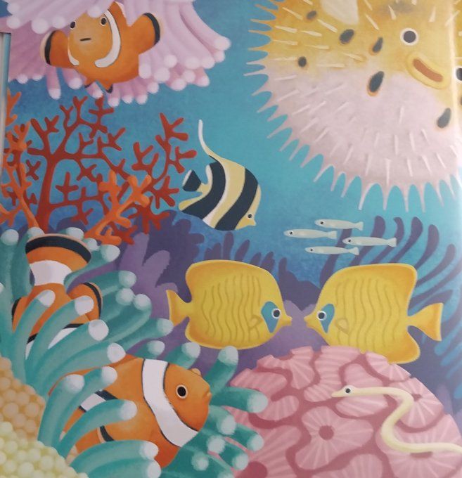 Lis avec moi les animaux de la mer