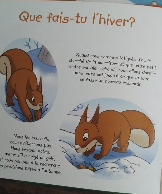 Lot de 3 livres