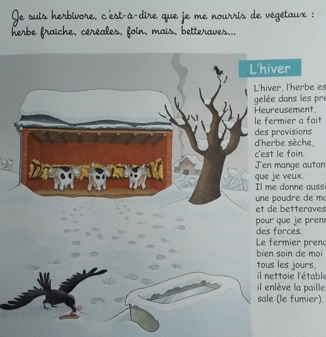 Lot de 3 livres