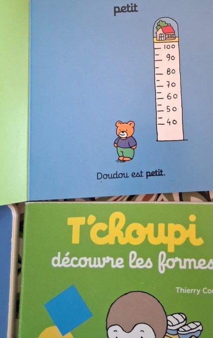 Lot de 6 livre T'choupi