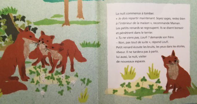 Sur les pas de loufi le petit renard