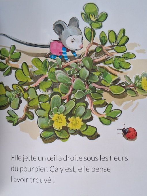 Les émotions de Loulou et Lili, le crapaud dégoûtant