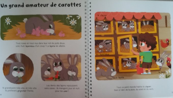 Ma maxi baby encyclopédie des animaux