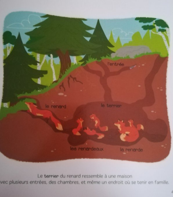 Ma maxi baby encyclopédie des animaux