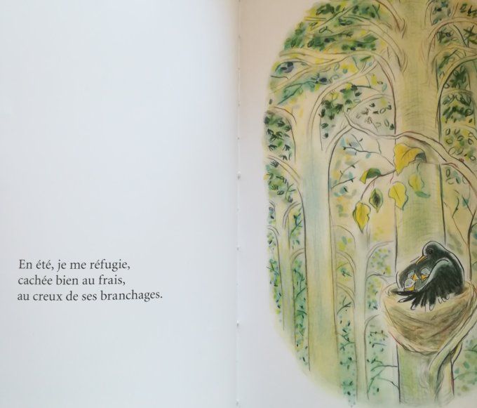 Ma mère est une forêt
