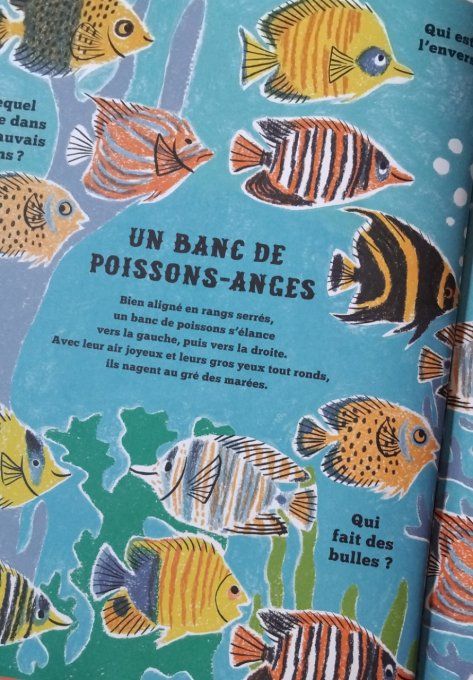 Mais où se cachent-ils ?