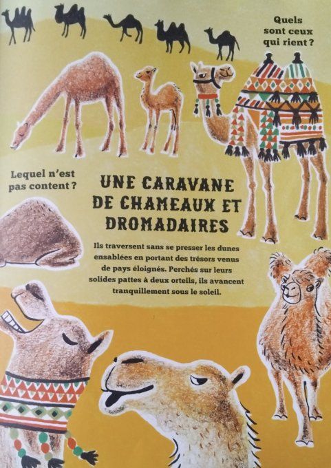 Mais où se cachent-ils ?