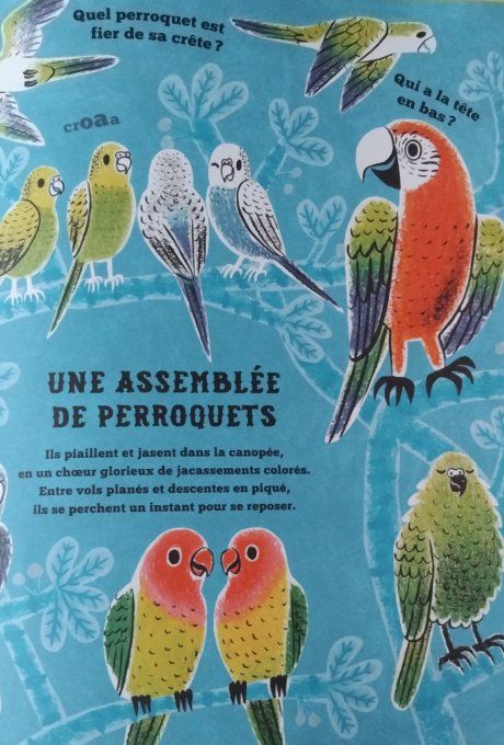 Mais où se cachent-ils ?