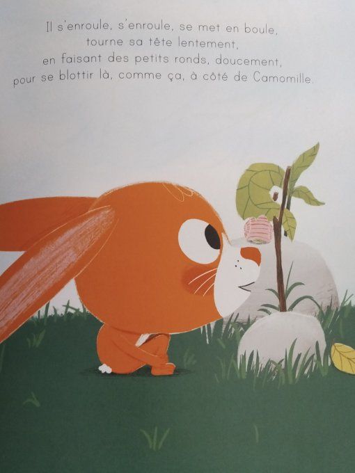 Martin le lapin a trop de choses dans la tête
