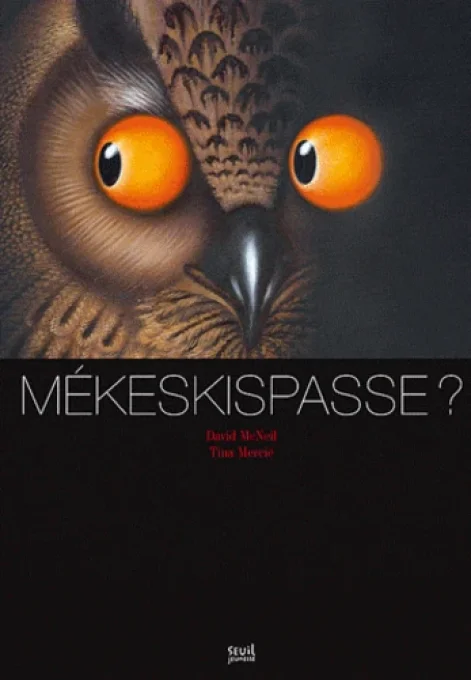Mekeskispasse ?