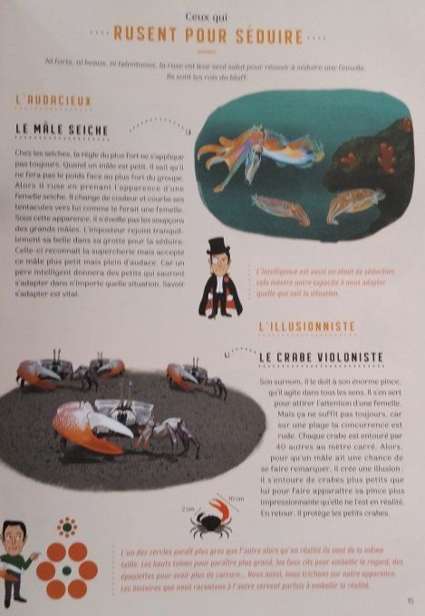 Même pas bêtes ! La reproduction