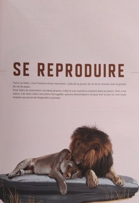 Même pas bêtes ! La reproduction