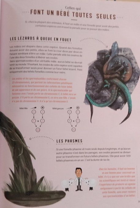 Même pas bêtes ! La reproduction