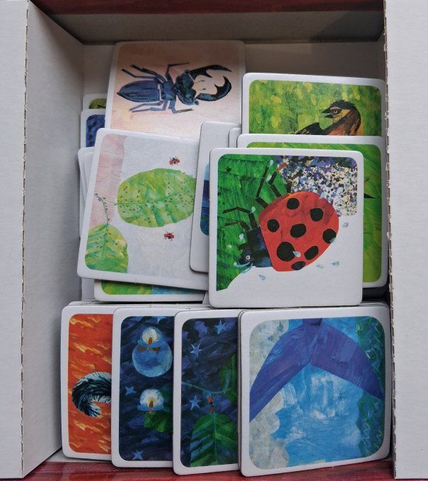 Memo la coccinelle mal lunée