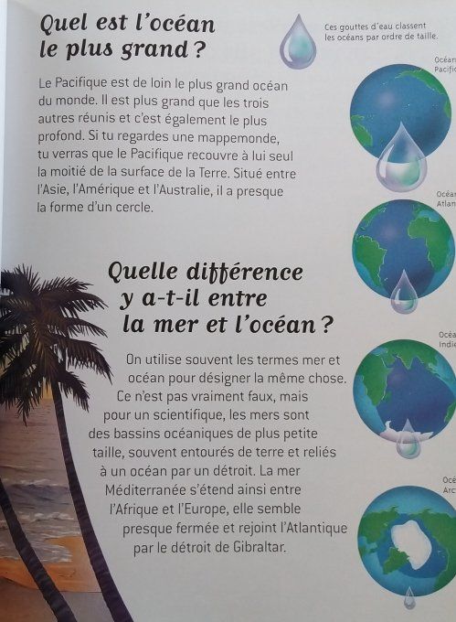 Questions/réponses mers et océans