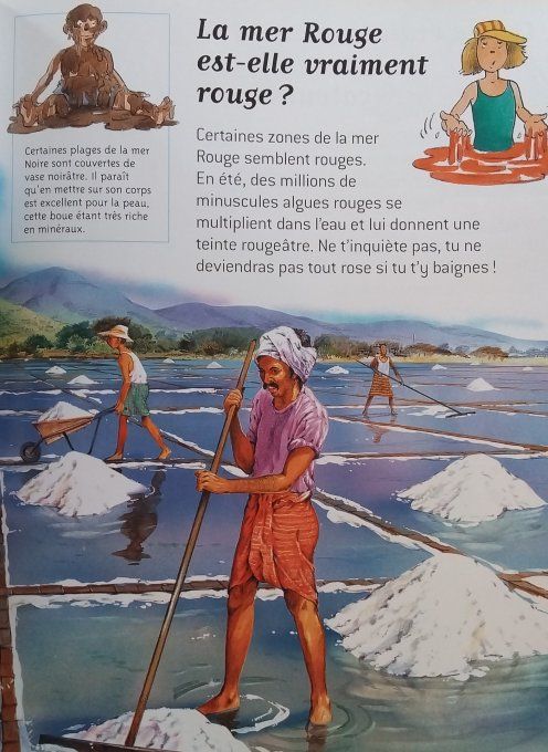 Questions/réponses mers et océans
