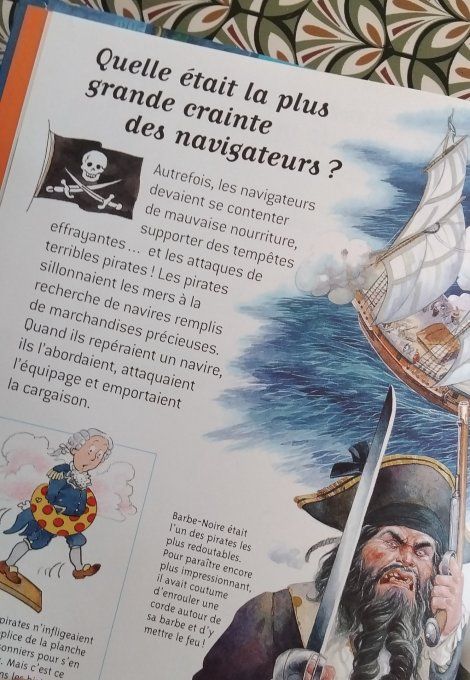 Questions/réponses mers et océans