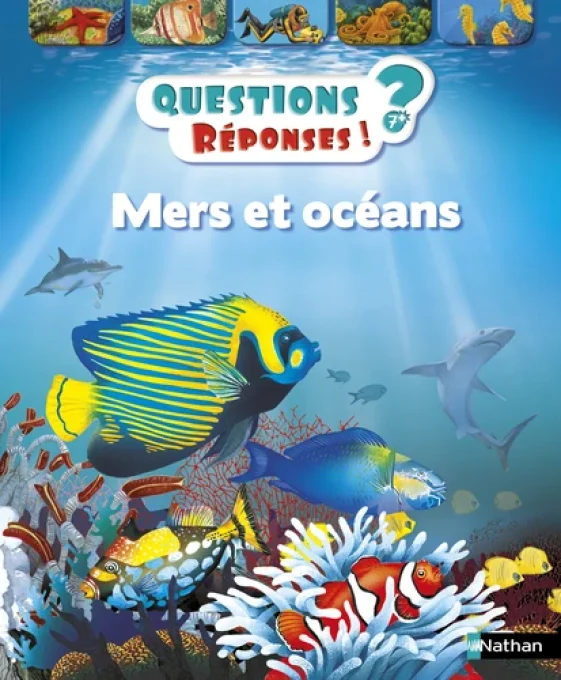 Questions/réponses mers et océans