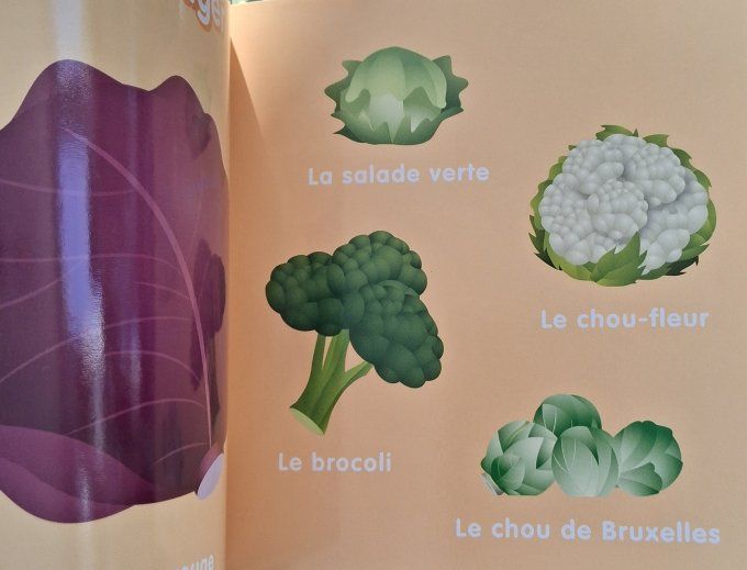 Mes 100 premiers mots la ferme, Disney Baby