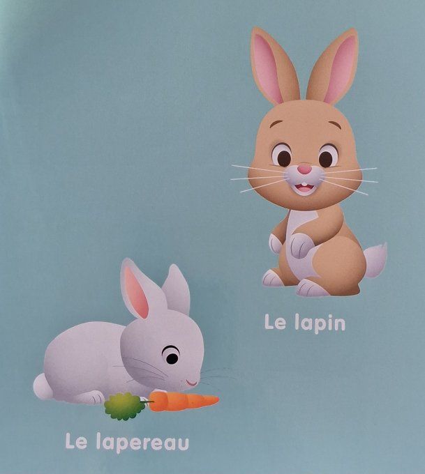 Mes 100 premiers mots la ferme, Disney Baby