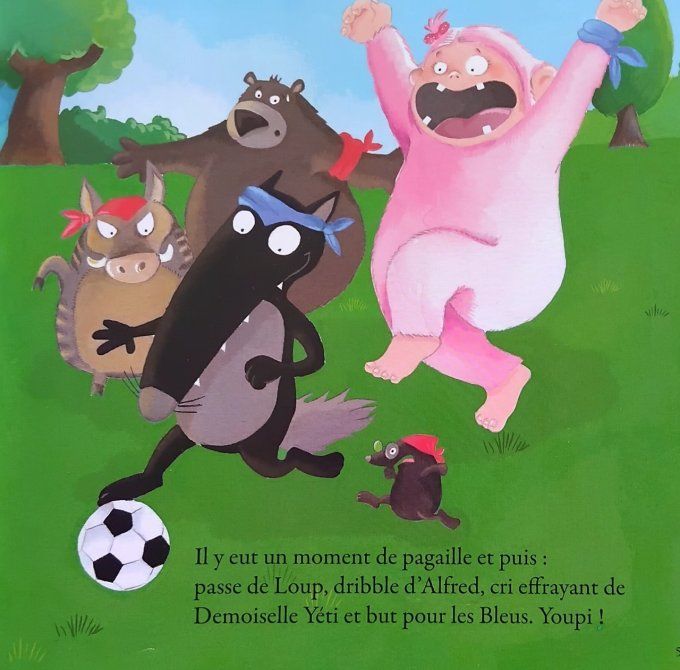 Mes histoires de loup
